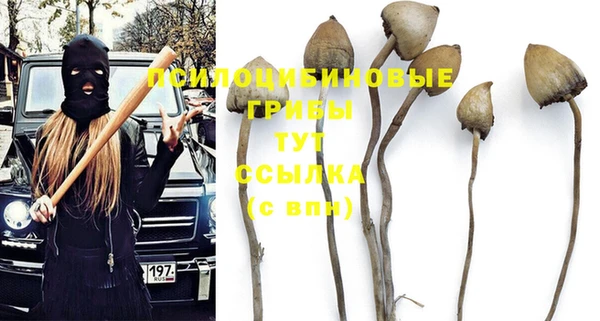 apvp Балахна
