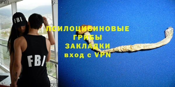 apvp Балахна